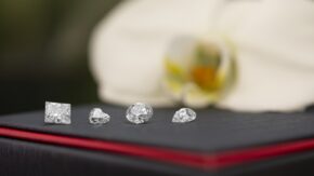 Loose lab-grown diamonds credit WD Lab Grown Diamonds used 020123